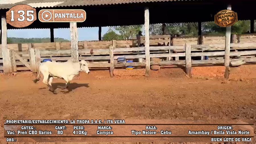 Lote LOTE 135 - PANTALLA