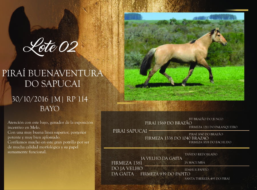 Lote RP 114 - PIRAÍ BUENAVENTURA DO SAPUCAI