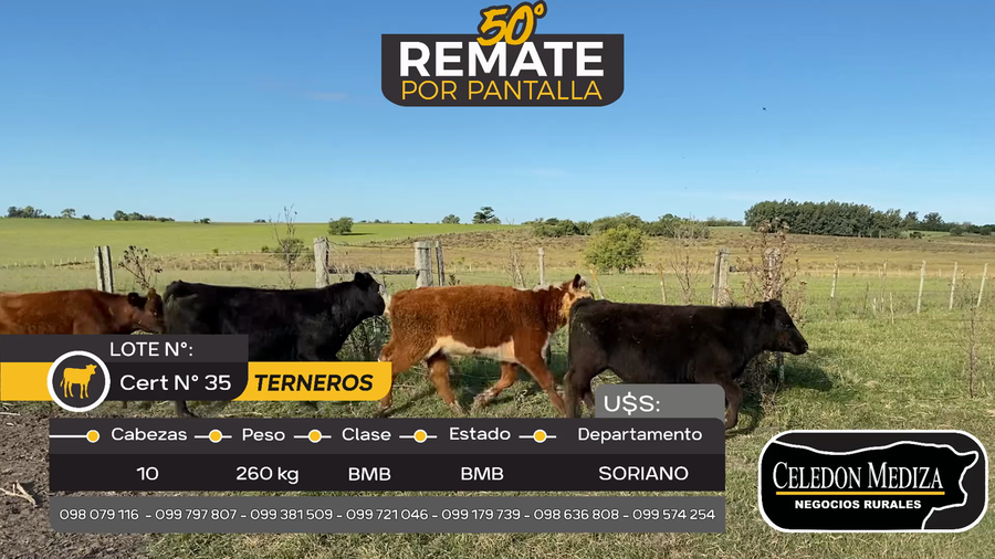 Lote 10 Terneros en Otra Localidad, Soriano