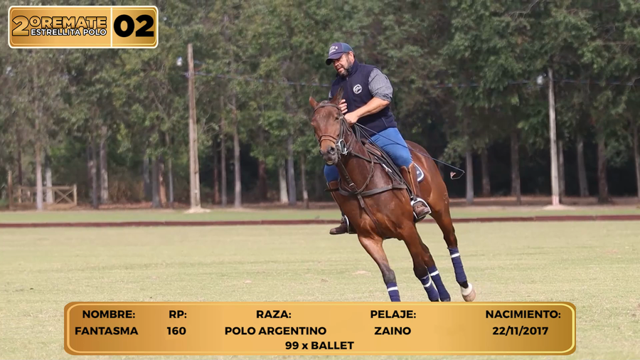 Lote LOTE 2