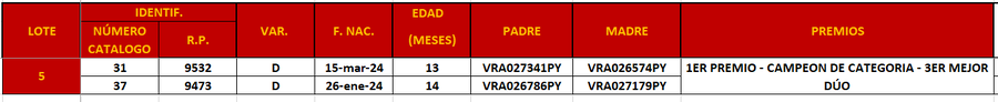 Lote LOTE 5