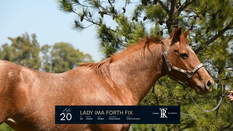 Lote LADY IMA FORTH FIX