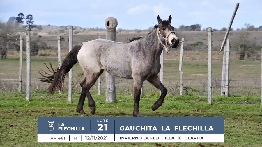 Lote GAUCHITA LA FLECHILLA