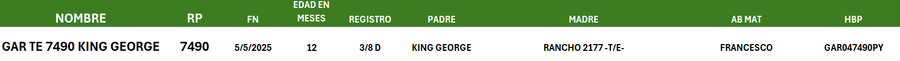 Lote LOTE 38
