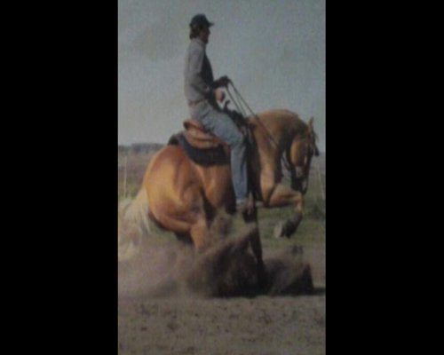 Lote MATRE HALCON PEPPY