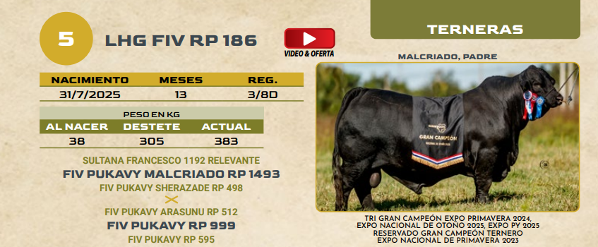 Lote LOTE 5