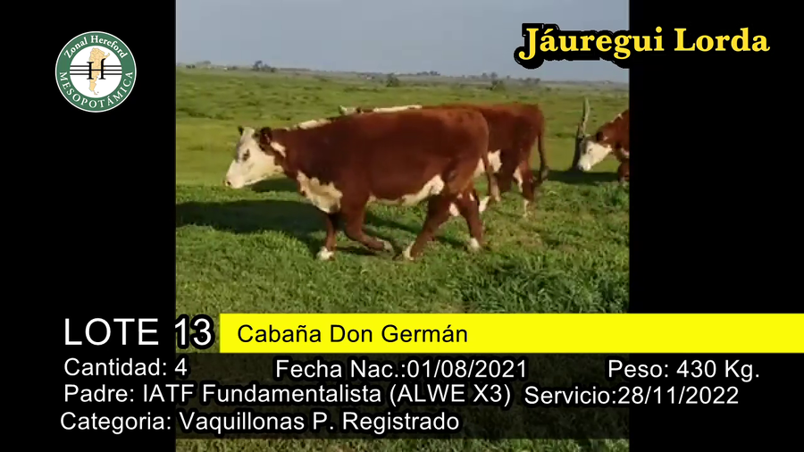 Lote VAQUILLONAS P. REGISTRADO