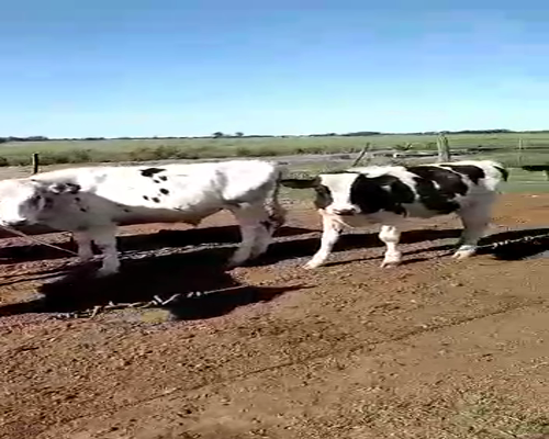 Lote 27 Terneros en Col. Bossi, Santa Fe