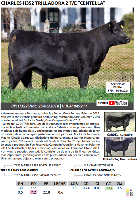 Lote VAQUILLONAS PEDRIGREE PREÑADAS