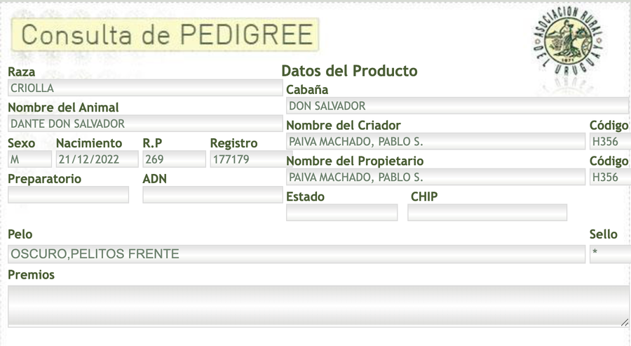 Lote Dante Don Salvador