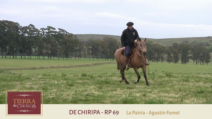Lote De Chiripa (RP 69) - Cabaña "La Patria"