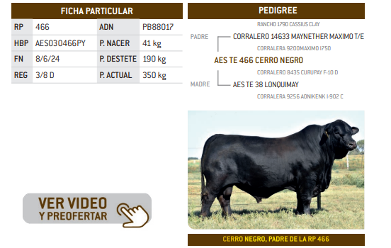 Lote LOTE 15