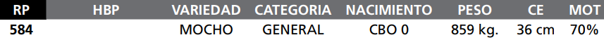 Lote LOTE  86 -RP 584