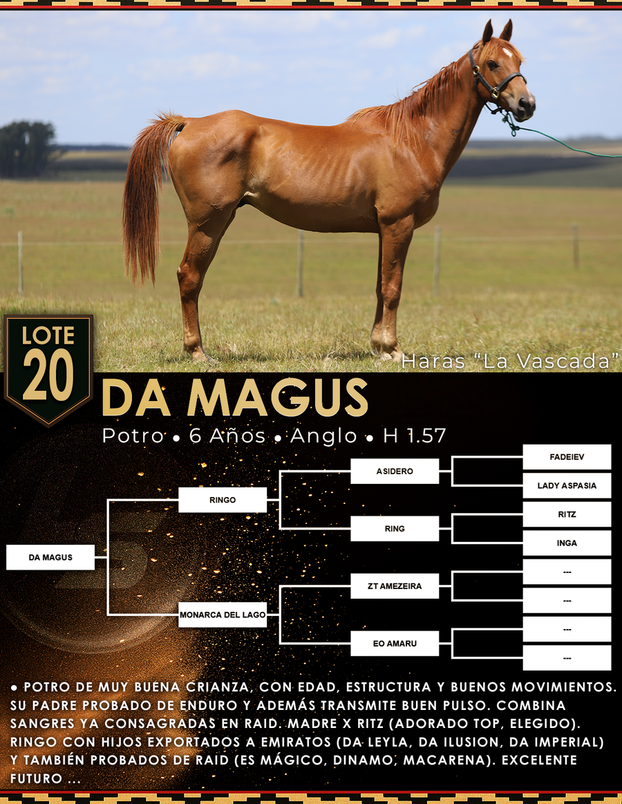 Lote DA MAGUS