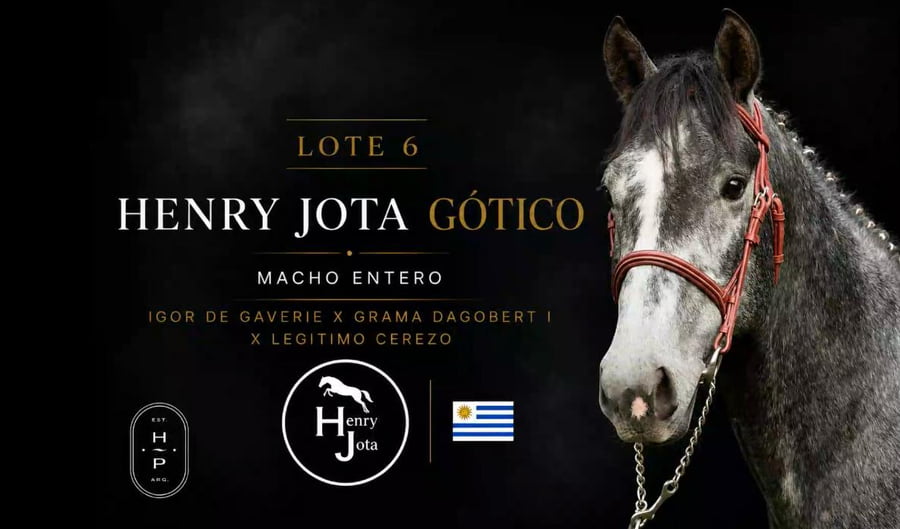 Lote HENRY JOTA GOTICO