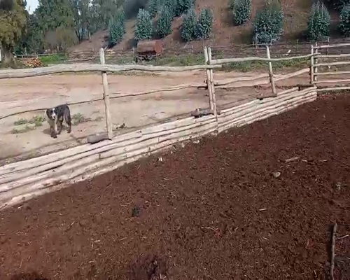 Lote 22 Torete en Melipilla, Región Metropolitana