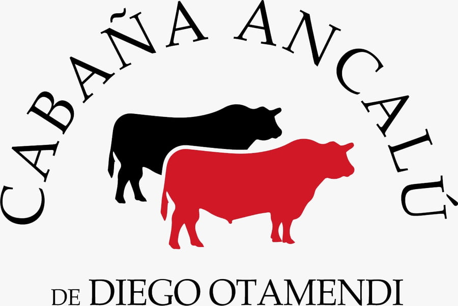 Lote TOROS PUROS CONTROLADOS(NEGRO)(Corral 31)