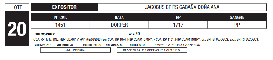 Lote LOTE 20