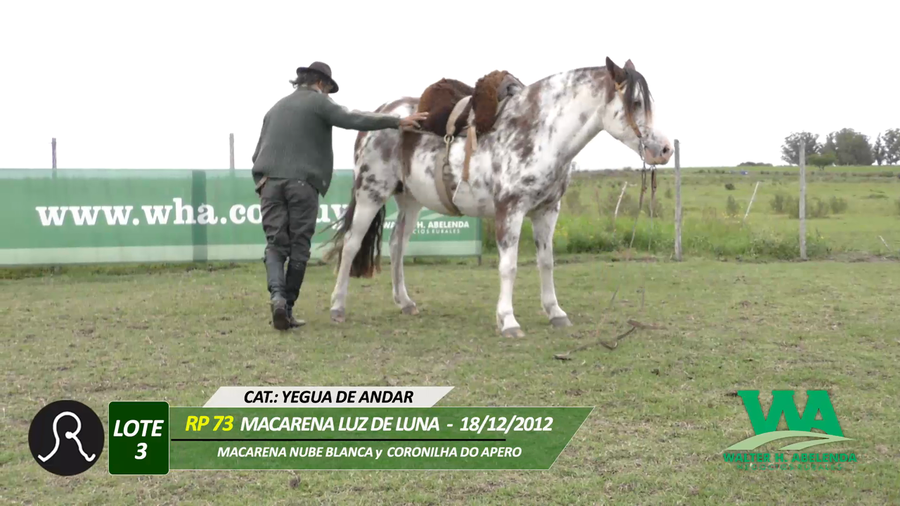 Lote MACARENA LUZ DE LUNA