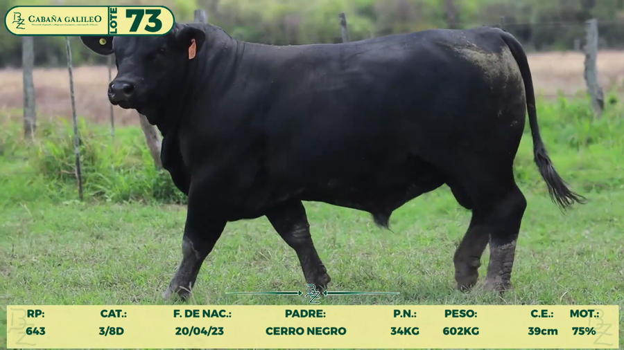 Lote LOTE 73