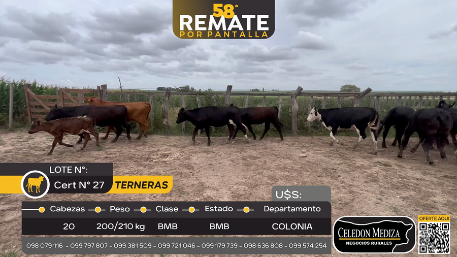 Lote 20 Terneras en La Horqueta, Colonia