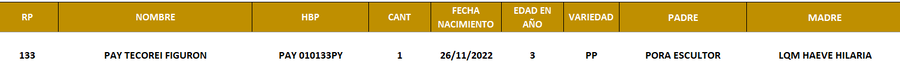 Lote LOTE 5