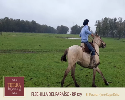 Lote Flechilla del Paraíso (RP 129) - Cabaña El Paraíso