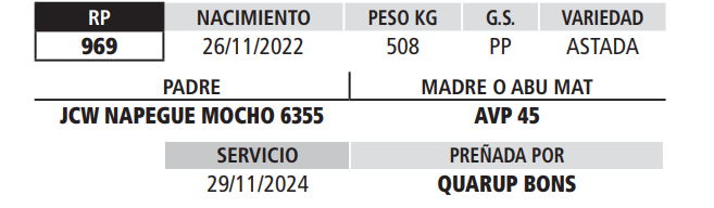 Lote LOTE 6