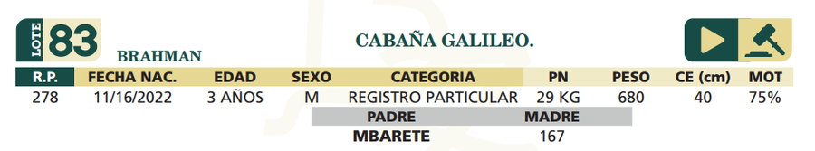 Lote LOTE 83