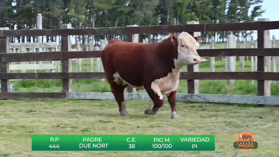 Lote MIRASOL DUE NORT LLANERO