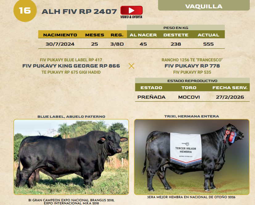 Lote LOTE 16