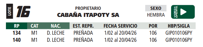 Lote LOTE 16