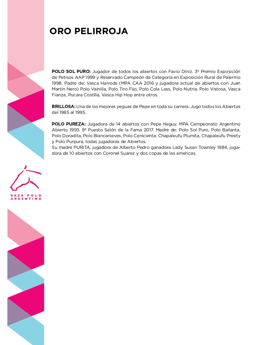 Lote ORO PELIRROJA (CHAPALEUFU NUBLADO - BOCHA 299)