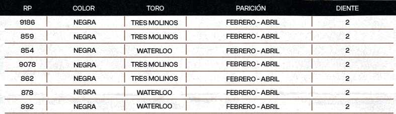 Lote "TRES MOLINOS" Vaquillas Controladas Preñadas