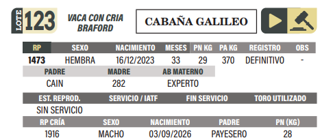 Lote LOTE 123