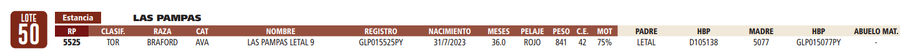 Lote LOTE 50