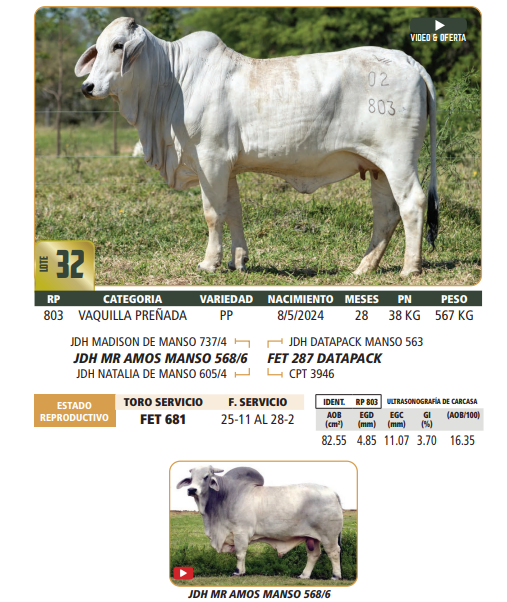 Lote LOTE 32