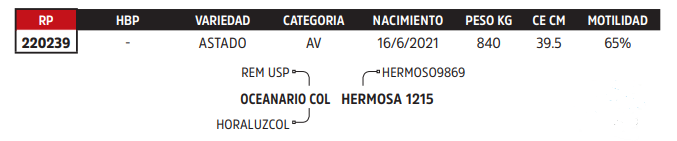Lote LOTE 70
