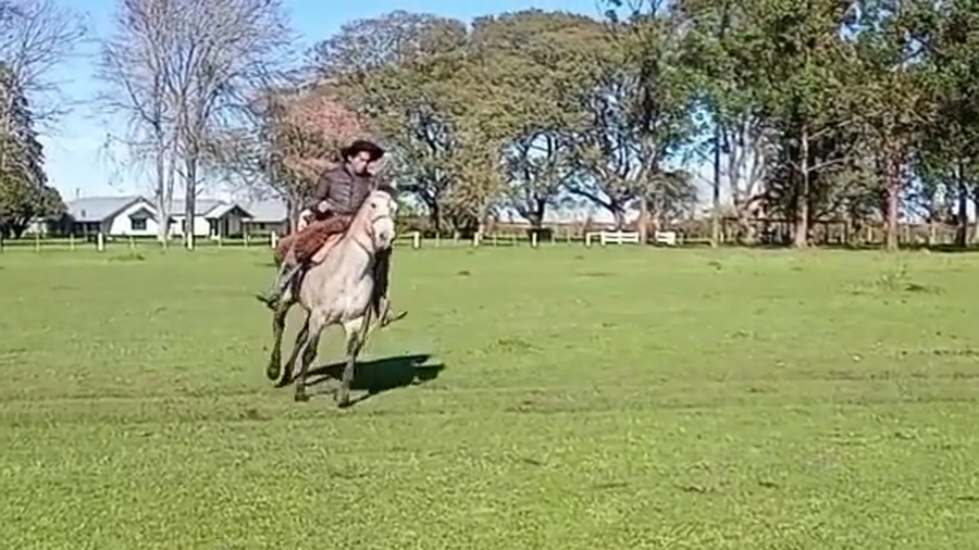 Lote 1 Yeguas Montadas en Corrientes, Curuzú-Cuatiá