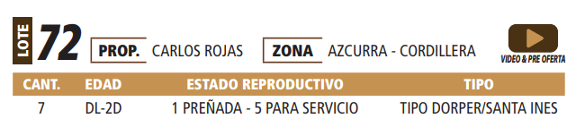 Lote LOTE 72 -POR PANTALLA
