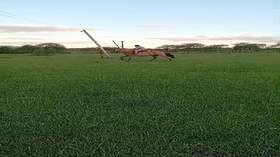 Lote 1 Yeguas Montadas en Corrientes, Curuzú-Cuatiá