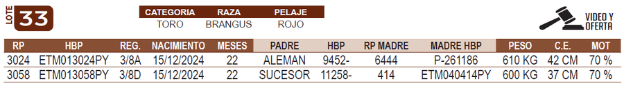 Lote LOTE 33