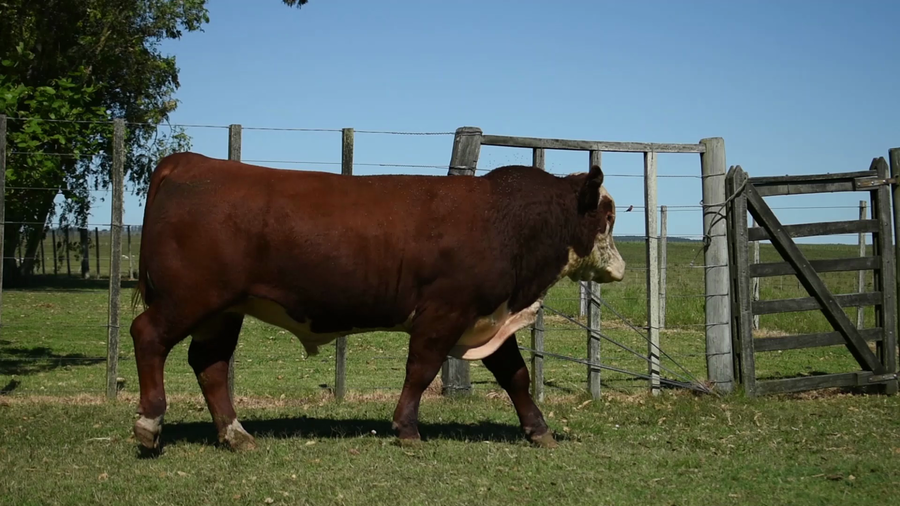 Lote "Valle Del Laurel" , RP 1029