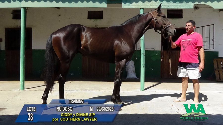 Lote RUIDOSO