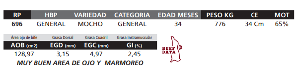Lote LOTE 63