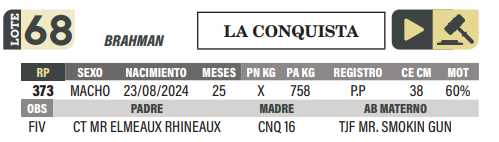Lote LOTE 68