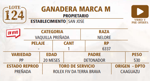 Lote LOTE 124 -EN VIVO