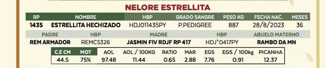 Lote LOTE 62