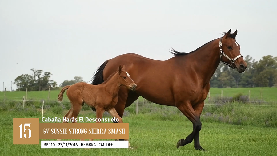 Lote Yeguarizos a remate en Entre Razas , San José