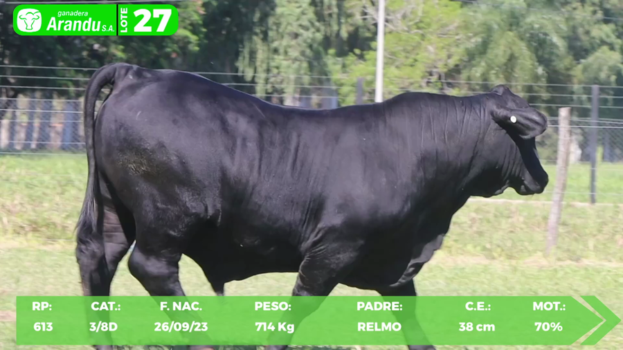 Lote LOTE 27
